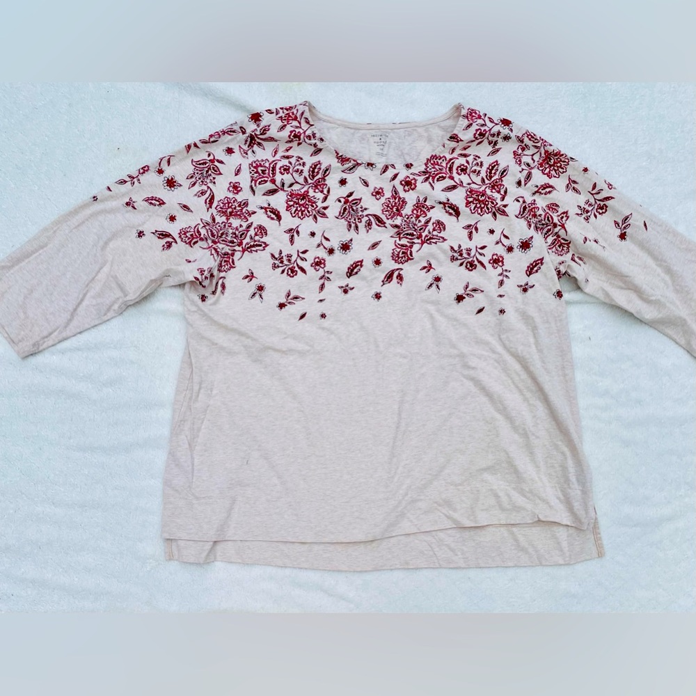Preswick & Moore Long Sleeved Plus Size Top